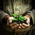 راهنمای جامع انتخاب اصلاح‌کننده‌های مناسب برای خاک‌های کشاورزی